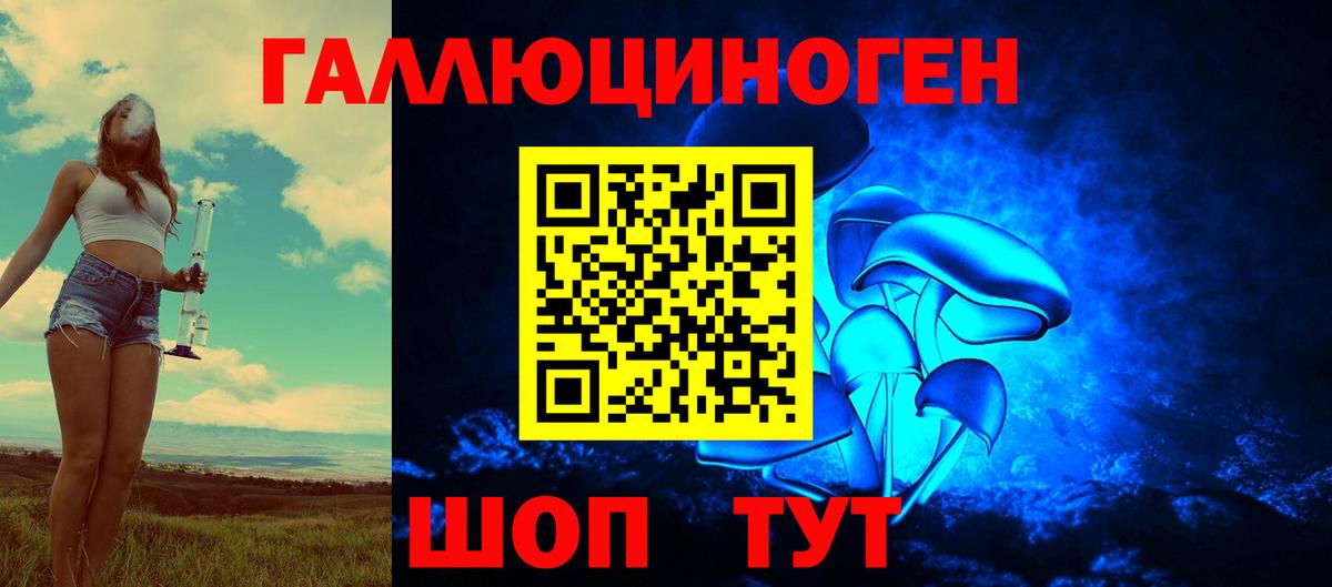 Псилоцибиновые грибы Psilocybine cubensis Бахчисарай